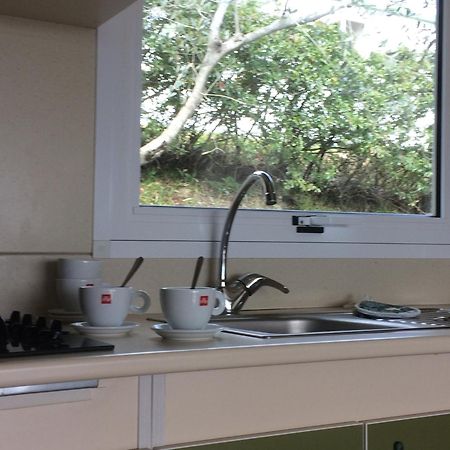 Camping Le Soline Casciano Di Murlo Номер фото