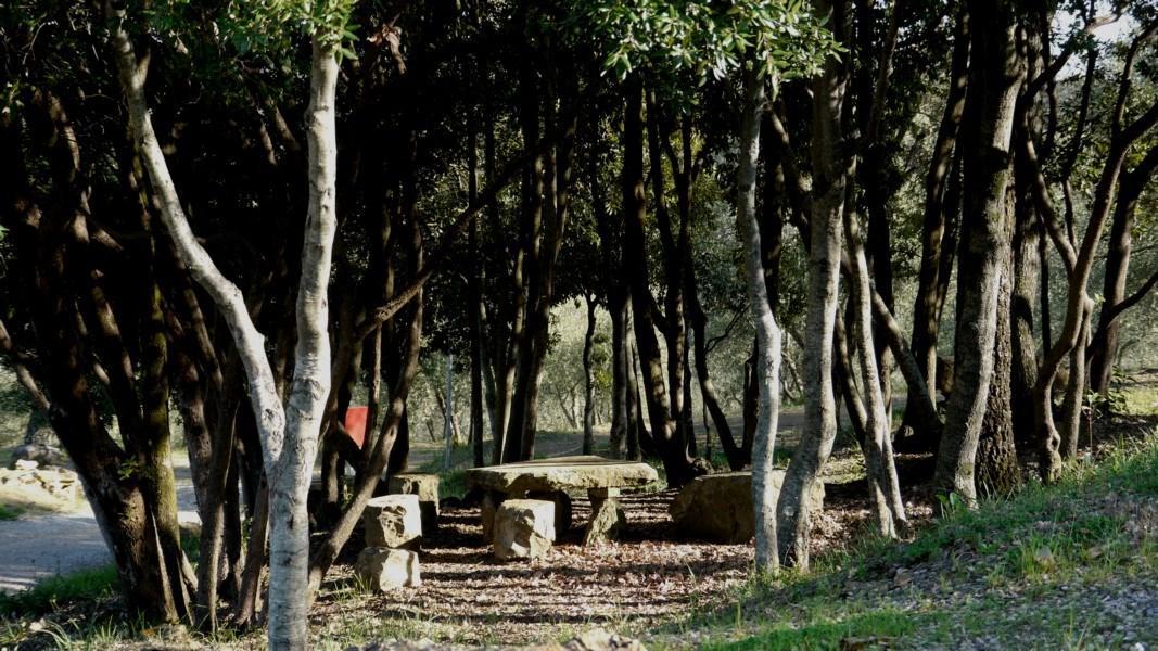 Camping Le Soline Casciano Di Murlo Экстерьер фото